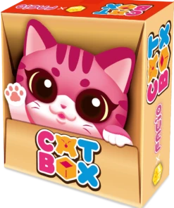 猫と段ボール箱　Cat Box