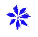 チーム青い花