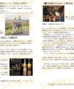 Alternative view of MEAD-ZINE Vol.3 蜂蜜酒（ミード）の可能性